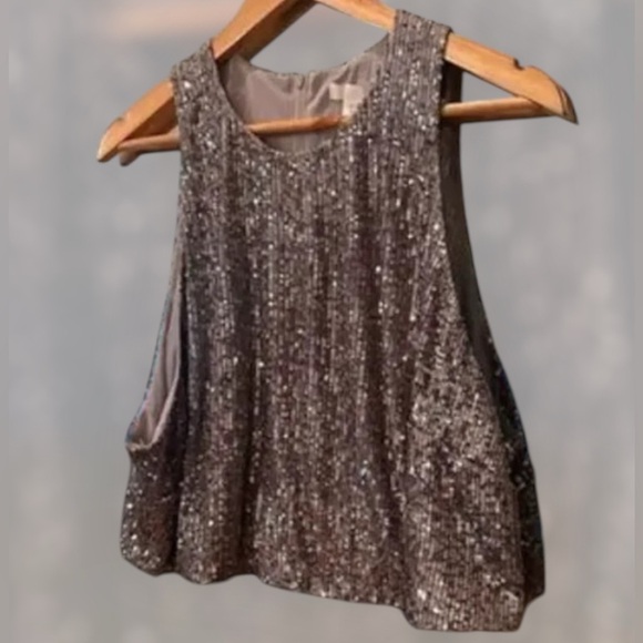 H&M Sequins Cropped Top Size XXXL‎ /3XLFray Silver - Picture 1 of 5